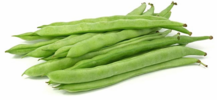./flower_pictures/edible_greenbean.png
