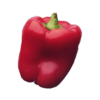 ./flower_pictures/edible_red_pepper.png