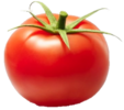 ./flower_pictures/edible_tomato.png